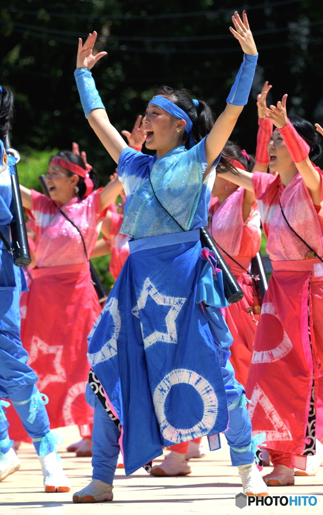 「第20回にっぽんど真ん中祭り」より（51）