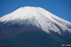 6月の富士山