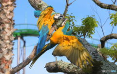 場所の取り合い