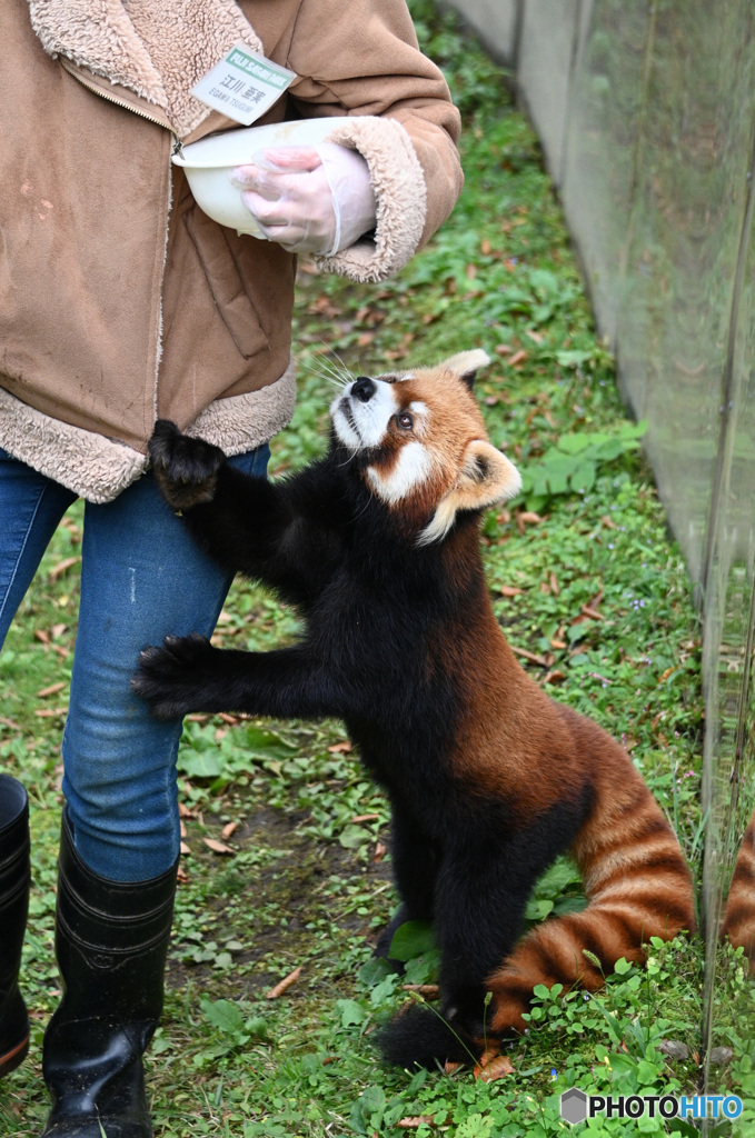 もっとちょうだい！