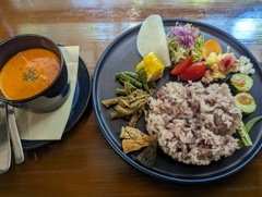 本日のランチ