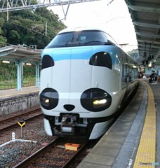 帰路は特急くろしお30号で…