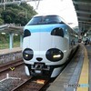 帰路は特急くろしお30号で…