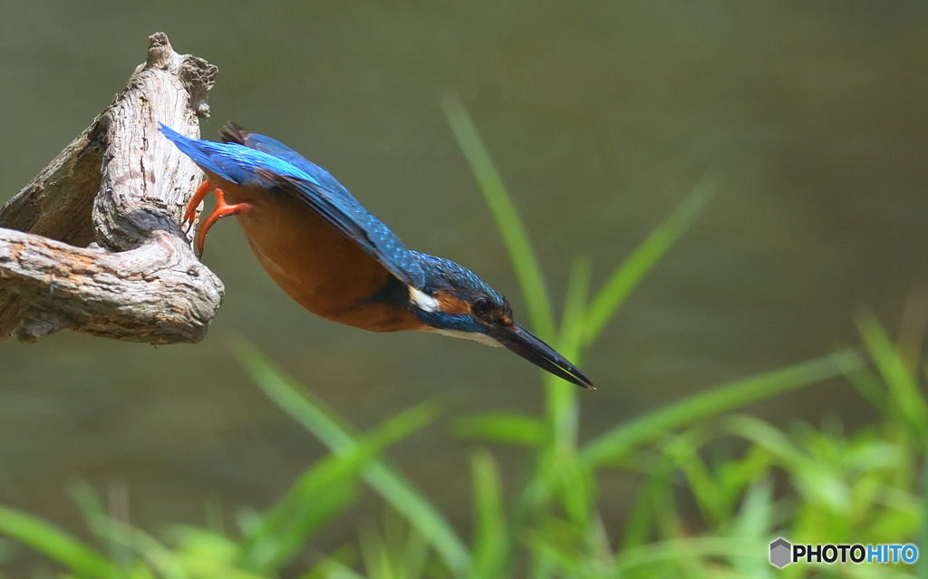 ロケット・スタート
