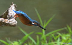 ロケット・スタート