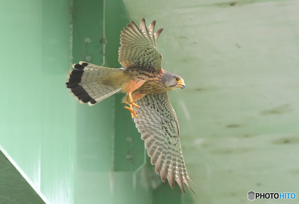 行ってきます！