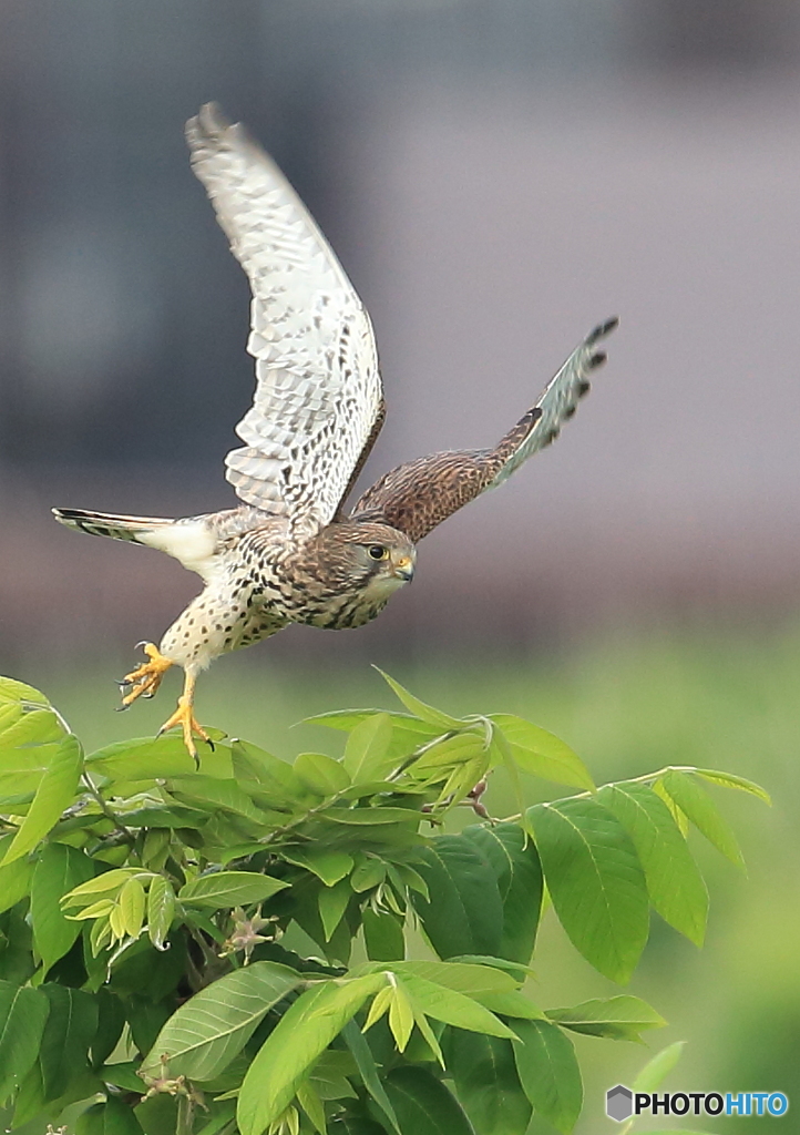 Take　off！Ⅱ