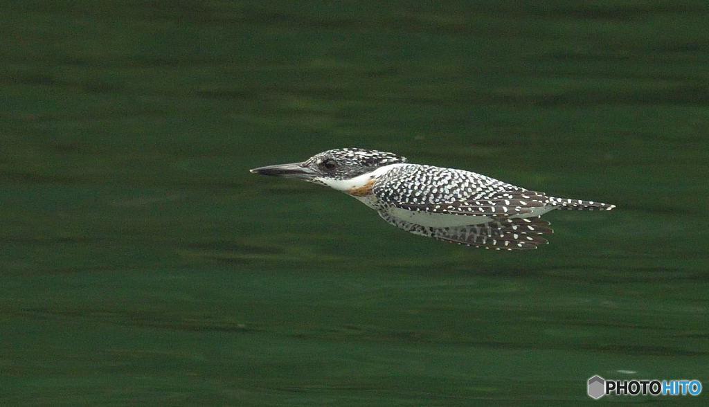 ギューン！(20190330）