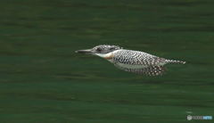 ギューン！(20190330）