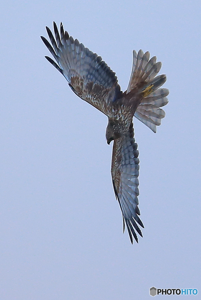 ♀も元気です