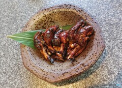 本日のオードブル