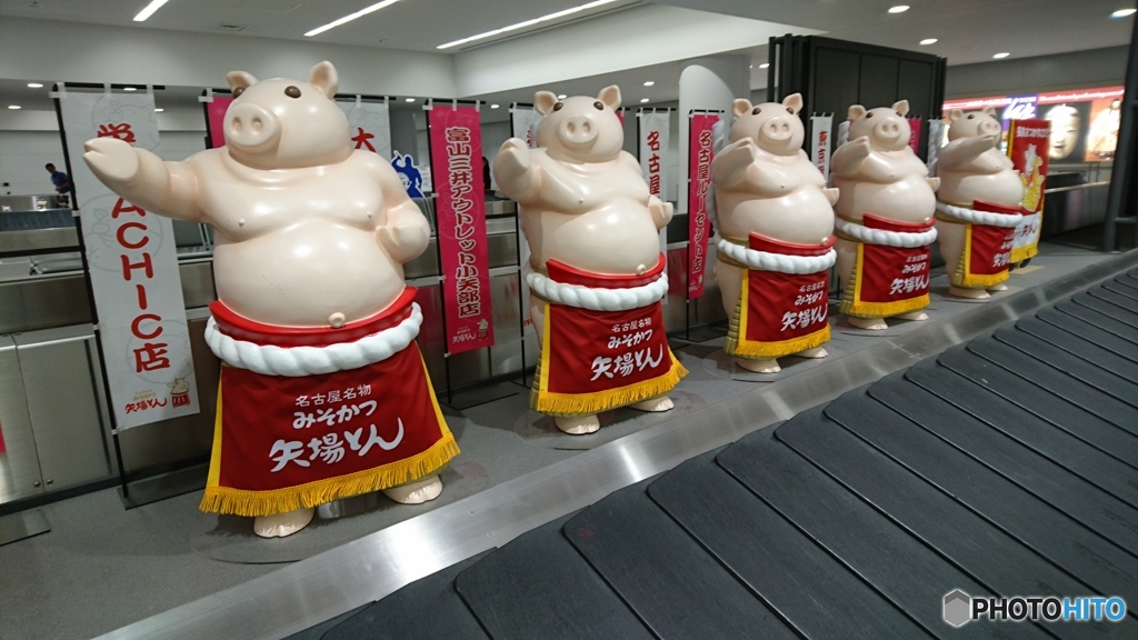 ただいま