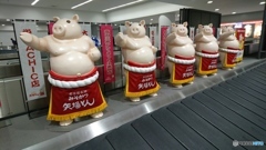 ただいま