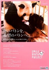 ただいま募集中