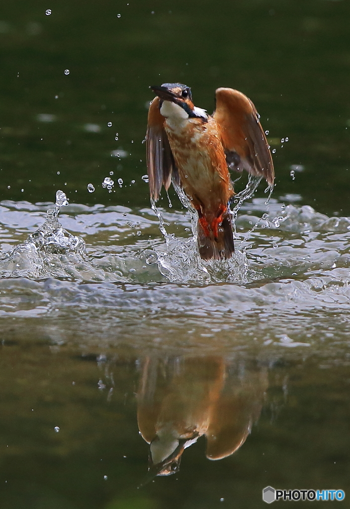水鏡の翡翠さん