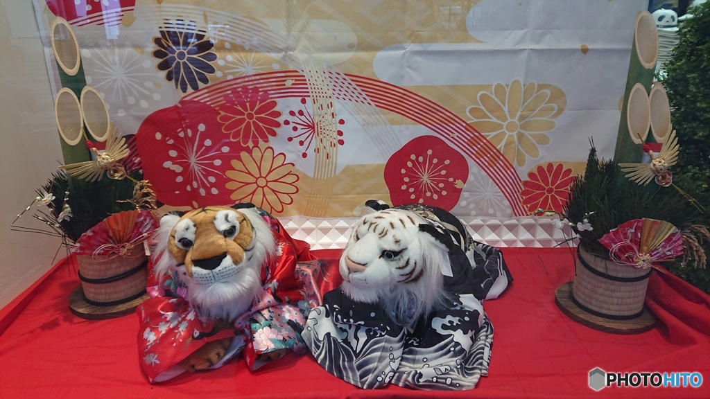 今年の主役