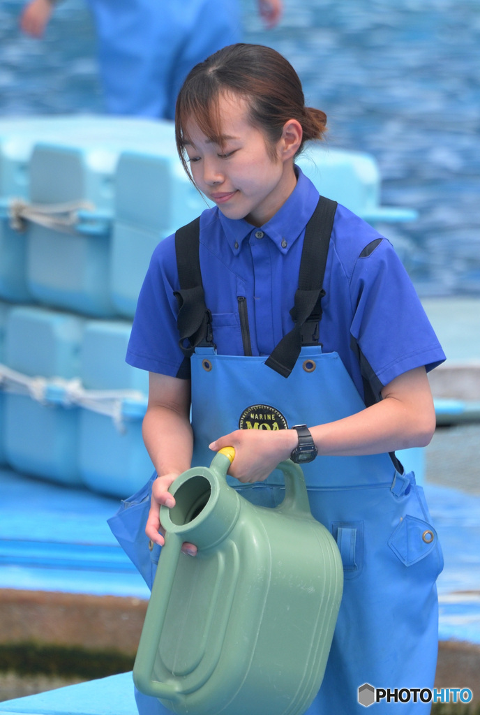 シャチのスタッフさん