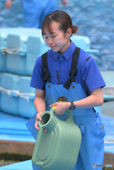 シャチのスタッフさん