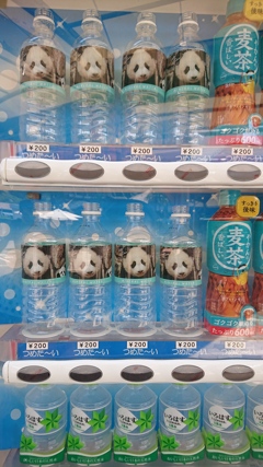 素敵な自動販売機