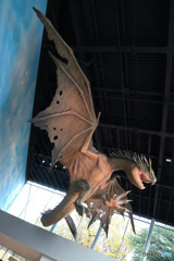 ドラゴン