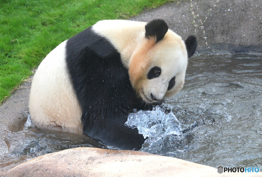 結浜の水遊び