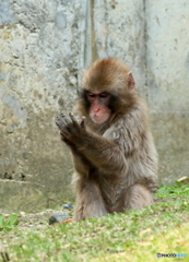 「俺の運命線どうかな…」