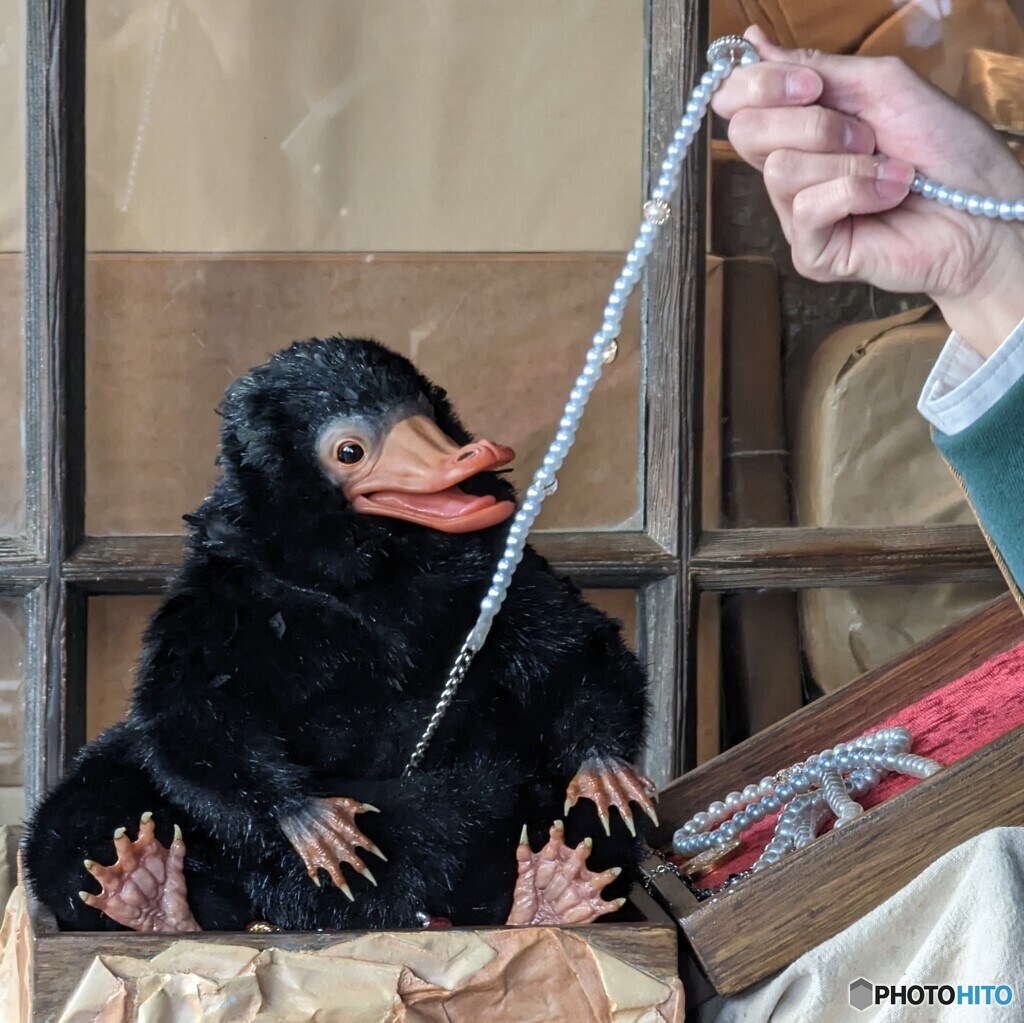 魔法動物②