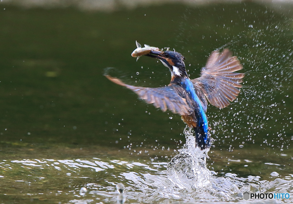 浮上！(20160903）
