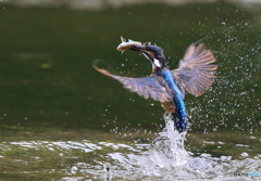 浮上！(20160903）