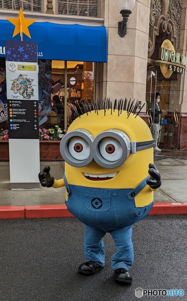 本日のミニオン