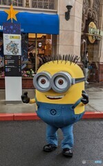 本日のミニオン