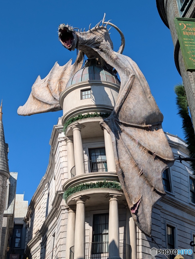 本日の魔法動物