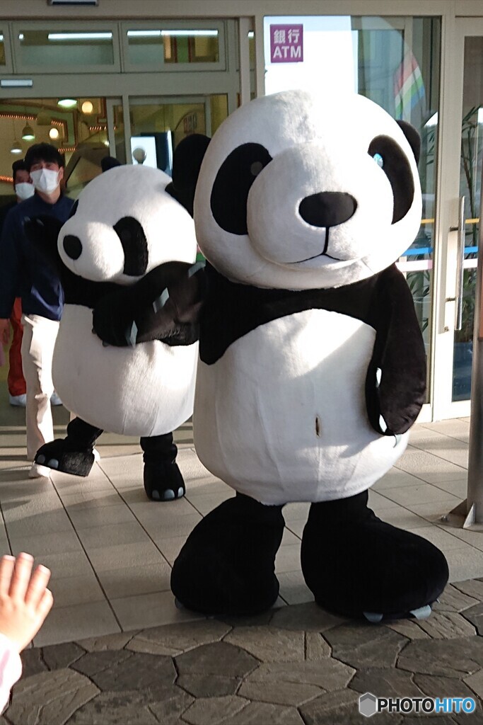 ウェルカム・パンダ