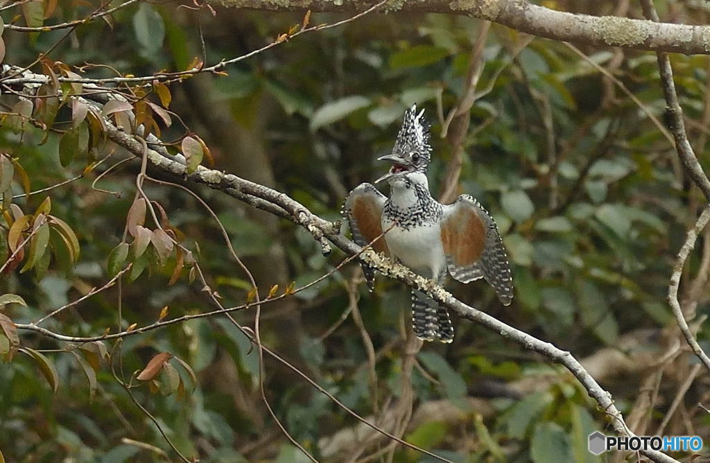 今日も元気よく行きましょう！