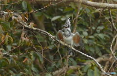 今日も元気よく行きましょう！