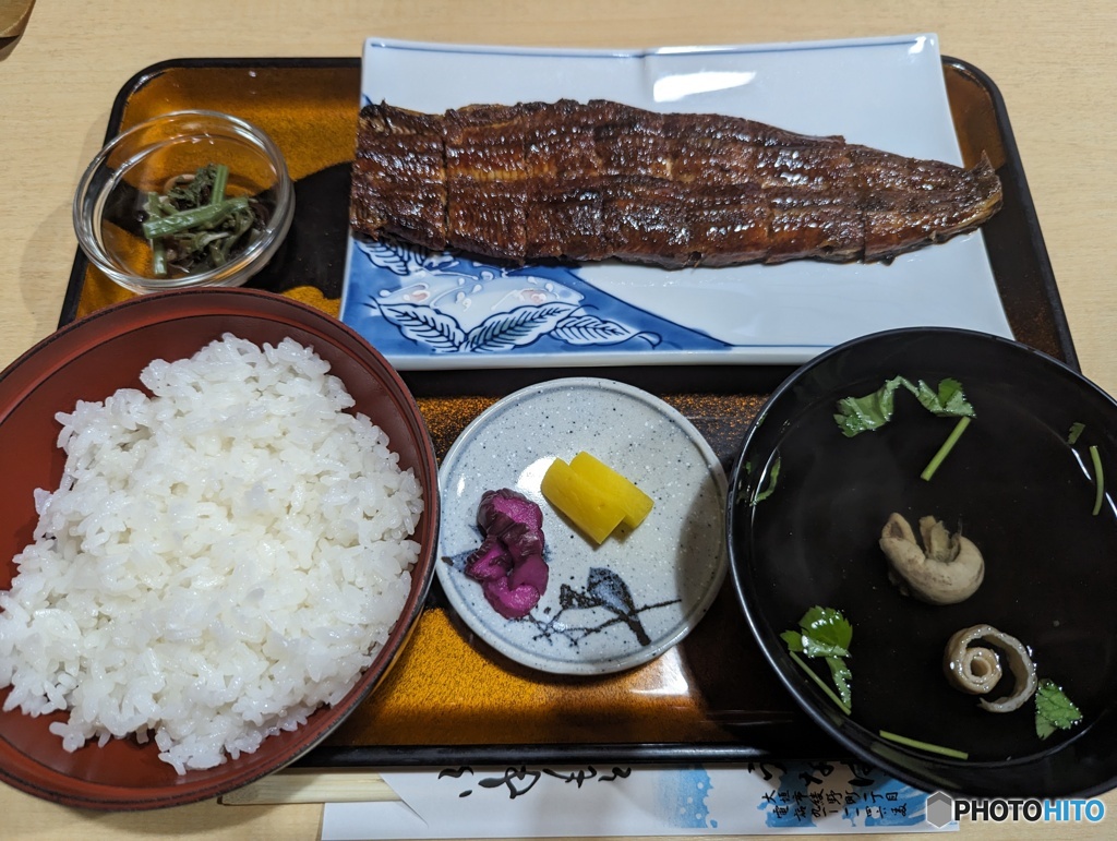 本日の夕食