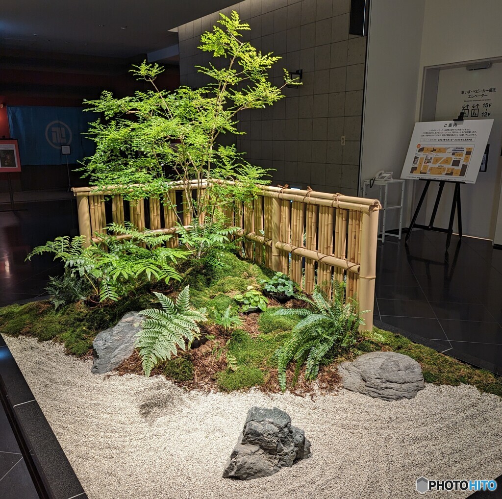 本日の庭園
