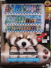 カワイイ自販機