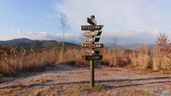 また来ちゃいました(^_^;)