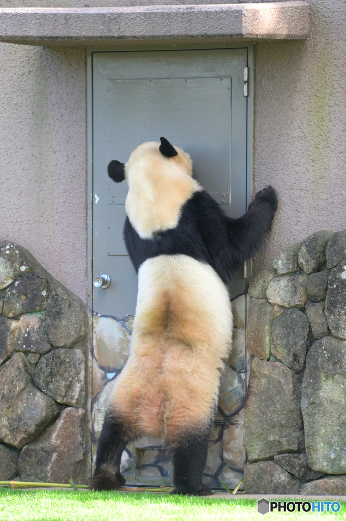 奥さ～ん、居るんでしょ？