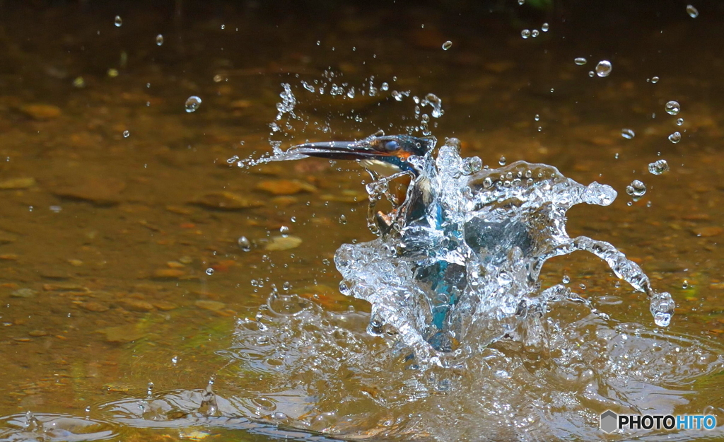 水を纏って浮上！
