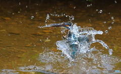 水を纏って浮上！