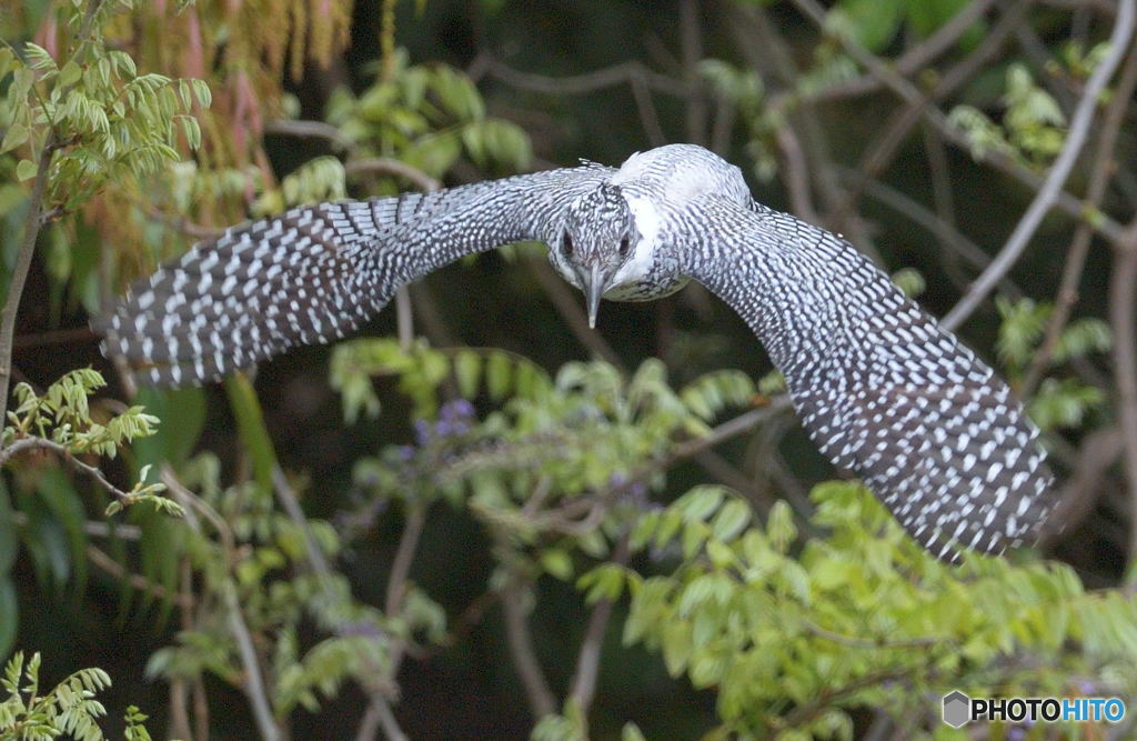 ターゲットを探す