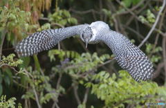 ターゲットを探す