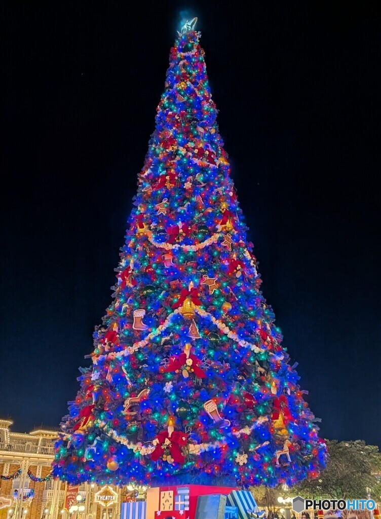 MagicKingdomのツリー