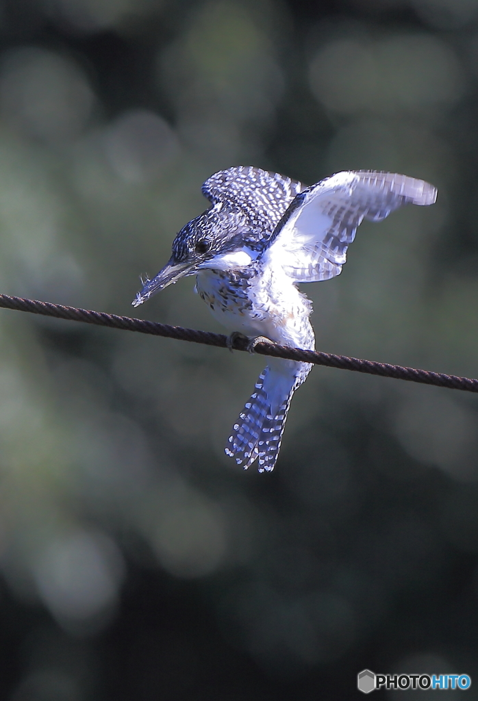ヤマちゃん、行きま～す！