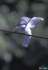 ヤマちゃん、行きま～す！