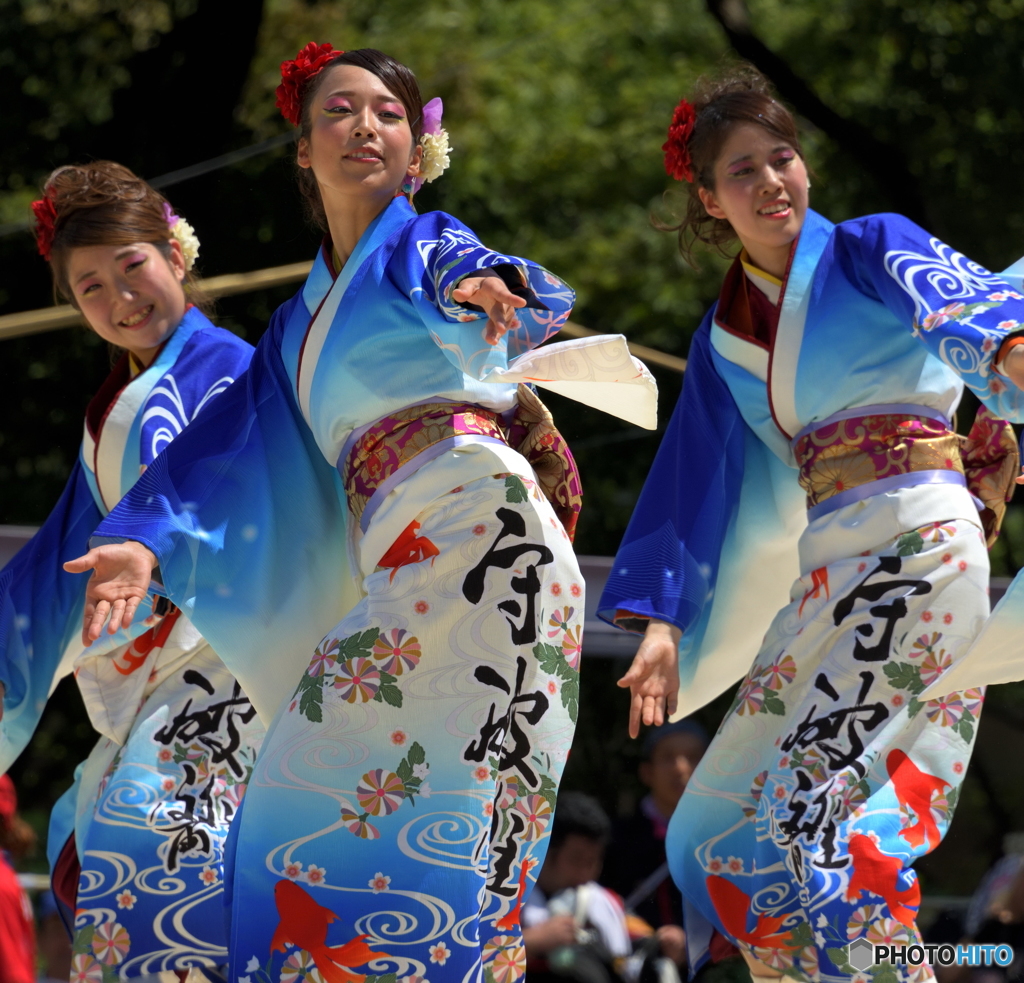 「第20回にっぽんど真ん中祭り」より㉔