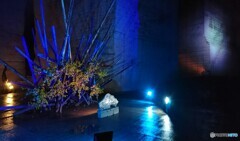 大谷資料館にてⅡ