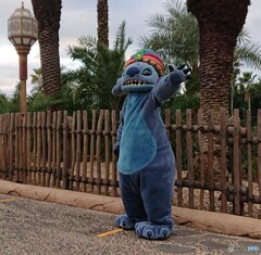 アラジンのエリアのスティッチ